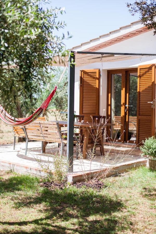 Agriturismo Fontetrilla ออร์เบเตลโล ภายนอก รูปภาพ