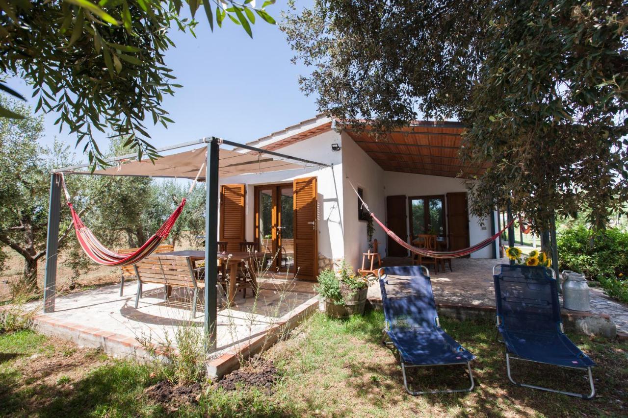 Agriturismo Fontetrilla ออร์เบเตลโล ภายนอก รูปภาพ