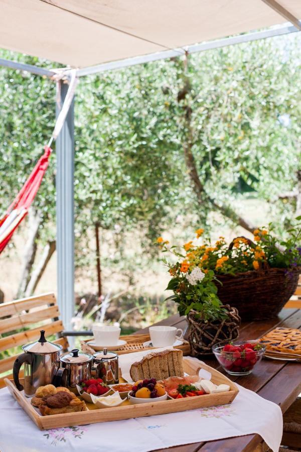 Agriturismo Fontetrilla ออร์เบเตลโล ภายนอก รูปภาพ